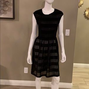 Studio M all sheer dress